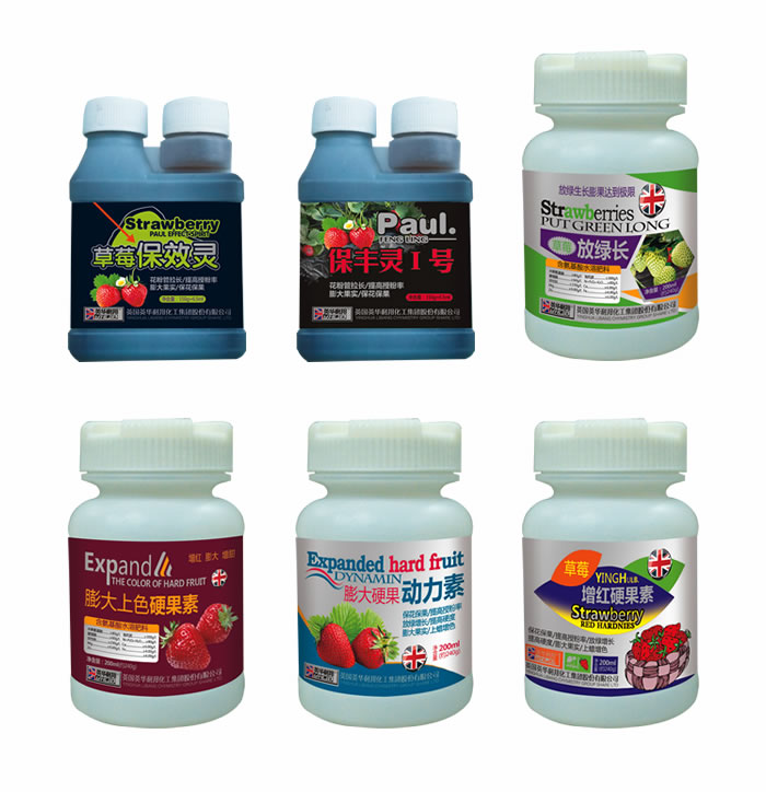 ��ݮϵ�в�Ʒ