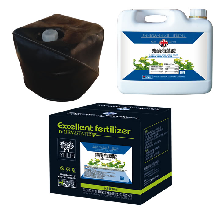 ̼ø������