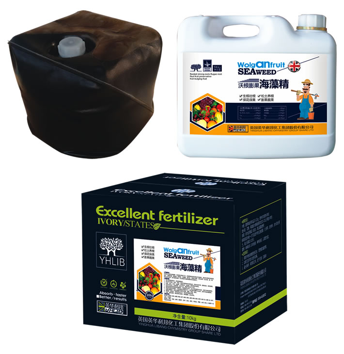 �ָ�������徫