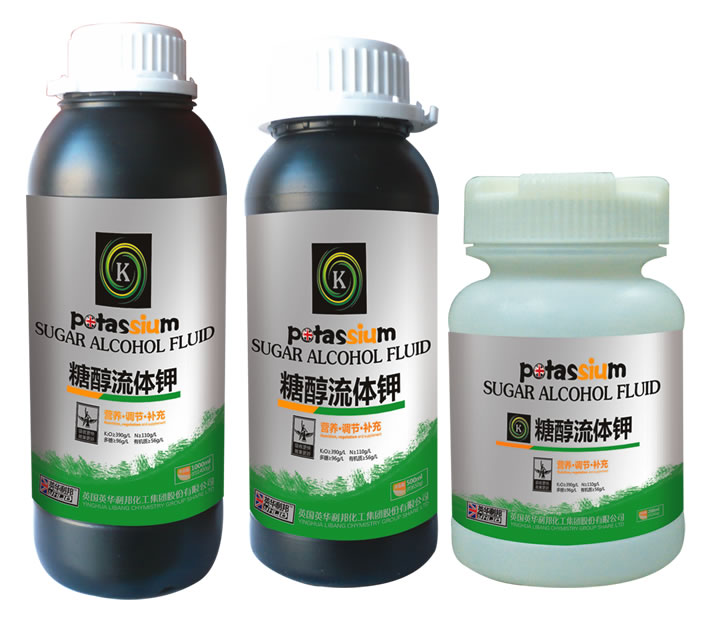 �Ǵ������