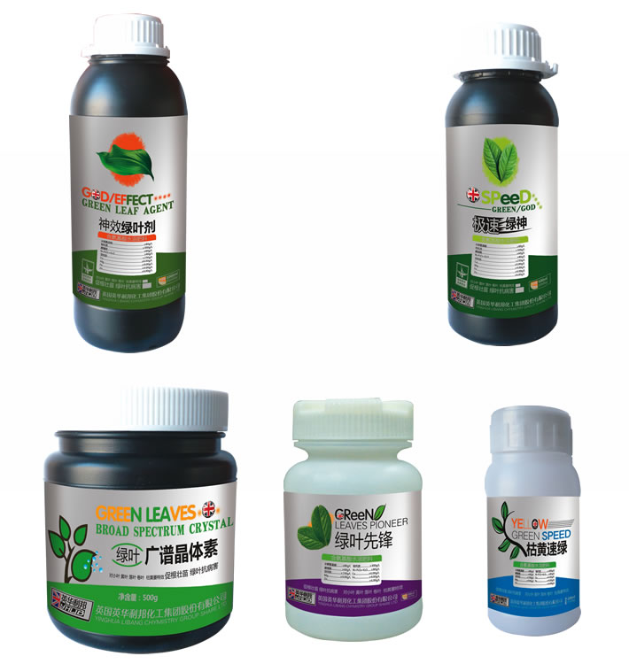 ��Ҷϵ�в�Ʒ