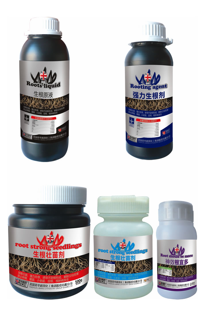 ����ϵ�в�Ʒ