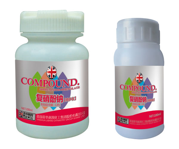 �������ơ�����ա�